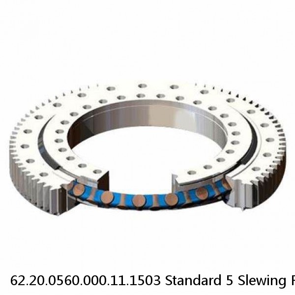 62.20.0560.000.11.1503 Standard 5 Slewing Ring Bearings