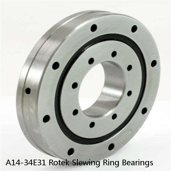 A14-34E31 Rotek Slewing Ring Bearings