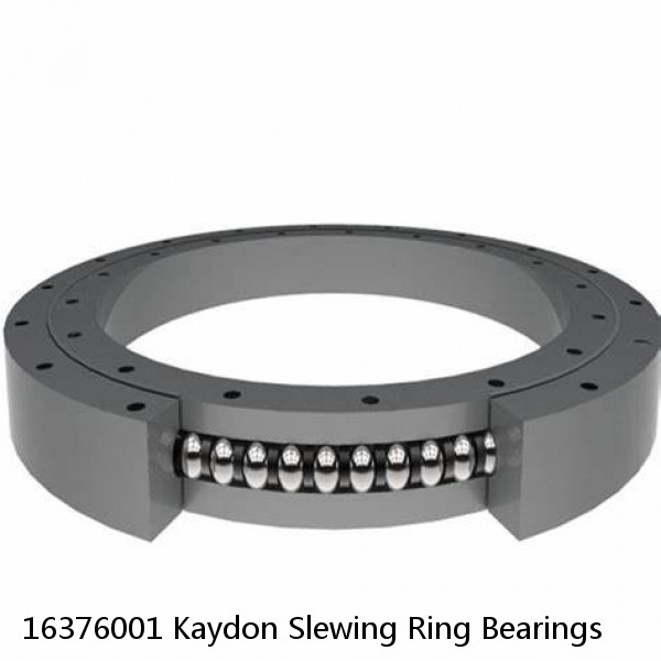 16376001 Kaydon Slewing Ring Bearings #1 small image