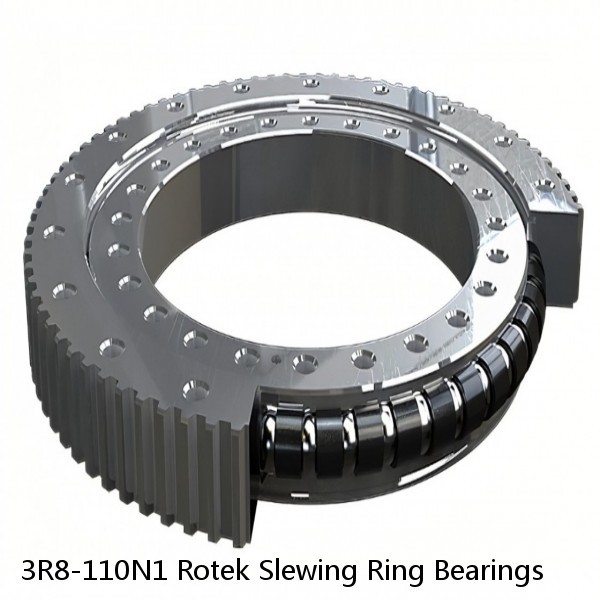 3R8-110N1 Rotek Slewing Ring Bearings #1 small image
