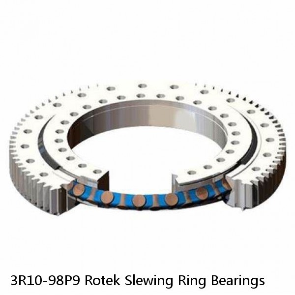 3R10-98P9 Rotek Slewing Ring Bearings