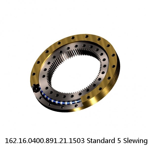 162.16.0400.891.21.1503 Standard 5 Slewing Ring Bearings