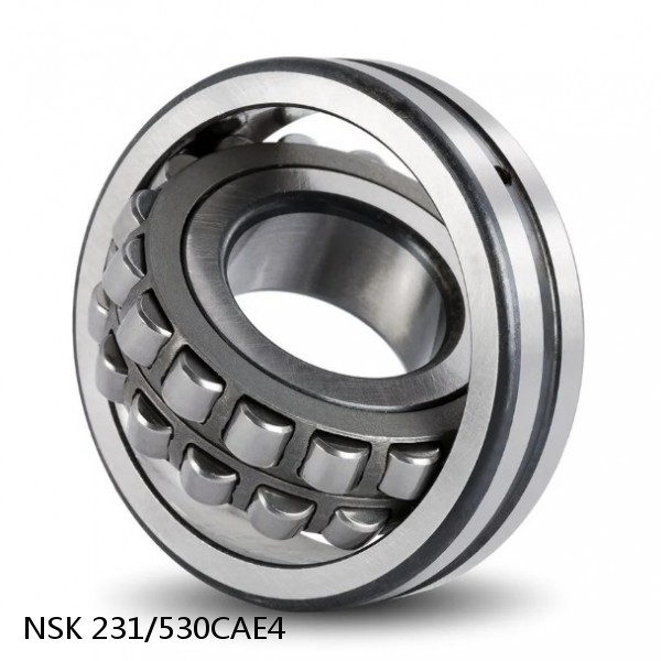 231/530CAE4 NSK Spherical Roller Bearing #1 small image