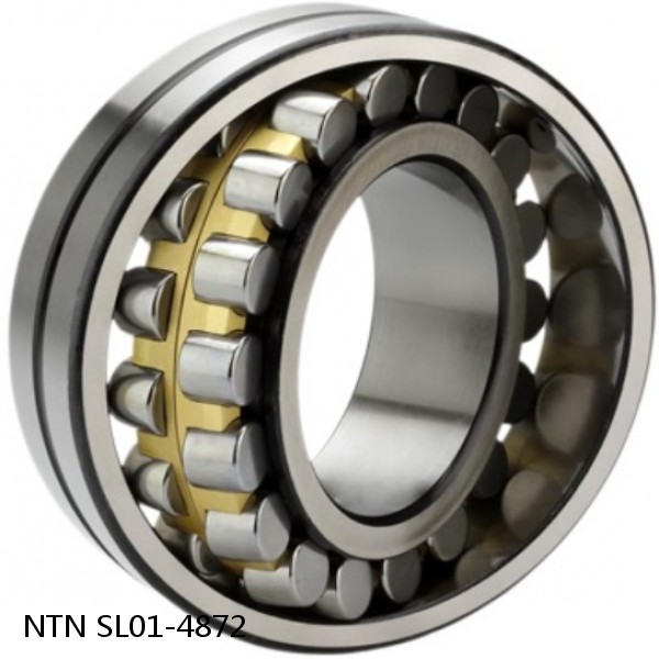 SL01-4872 NTN Cylindrical Roller Bearing
