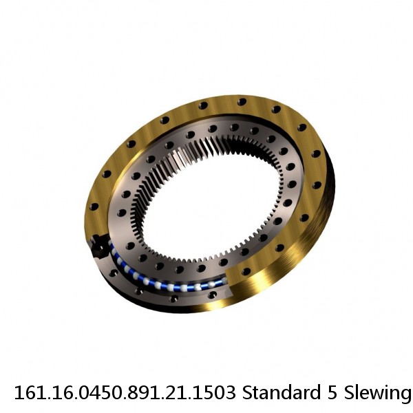 161.16.0450.891.21.1503 Standard 5 Slewing Ring Bearings #1 image