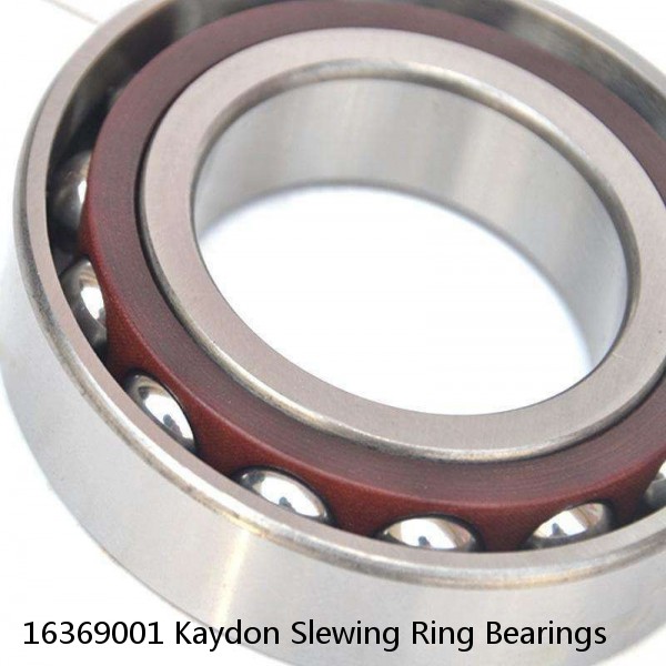 16369001 Kaydon Slewing Ring Bearings #1 image