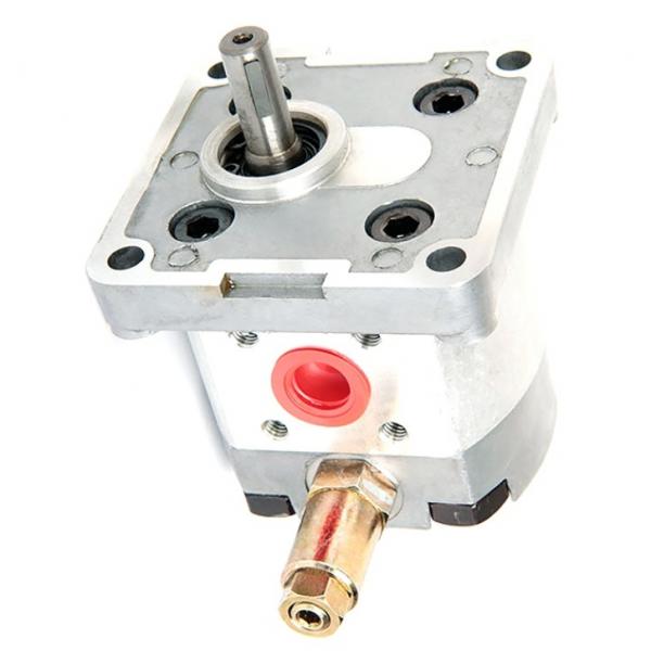 Denison PV20-2R1C-L00 Variable Displacement Piston Pump #1 image