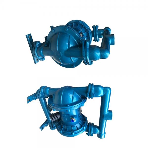Sumitomo QT6253-125-40F Double Gear Pump #1 image