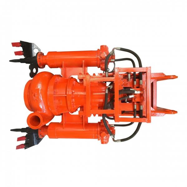 Sumitomo QT4323-25-6.3F Double Gear Pump #1 image