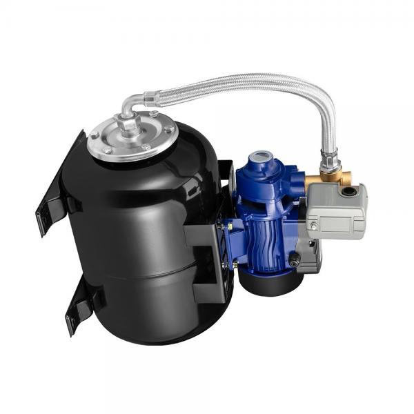 Sumitomo QT4223-31.5-5F Double Gear Pump #1 image