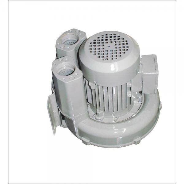 Yuken A145-LR09HS-60 Variable Displacement Piston Pumps #1 image