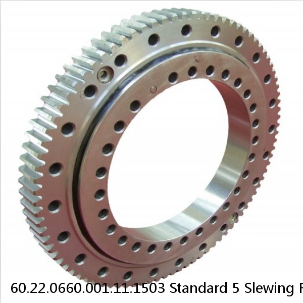 60.22.0660.001.11.1503 Standard 5 Slewing Ring Bearings #1 image