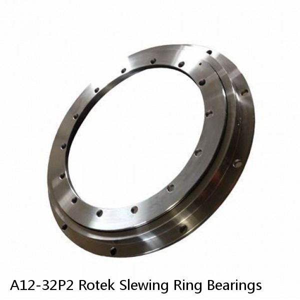 A12-32P2 Rotek Slewing Ring Bearings #1 image