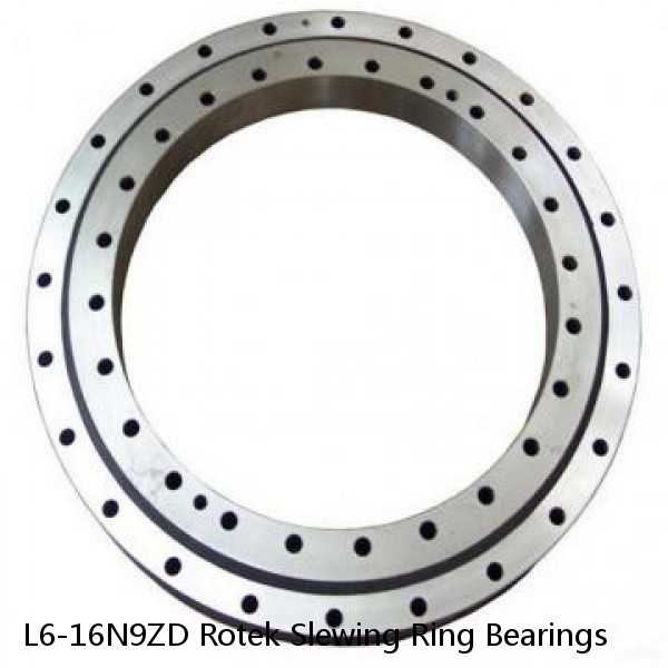 L6-16N9ZD Rotek Slewing Ring Bearings #1 image