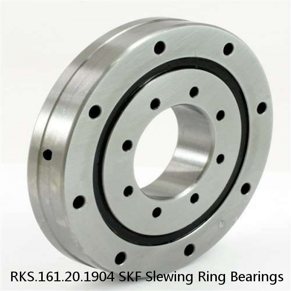 RKS.161.20.1904 SKF Slewing Ring Bearings #1 image