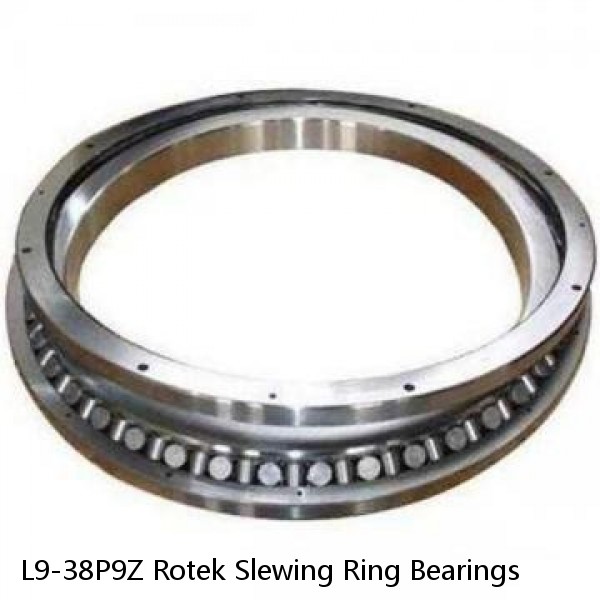 L9-38P9Z Rotek Slewing Ring Bearings #1 image