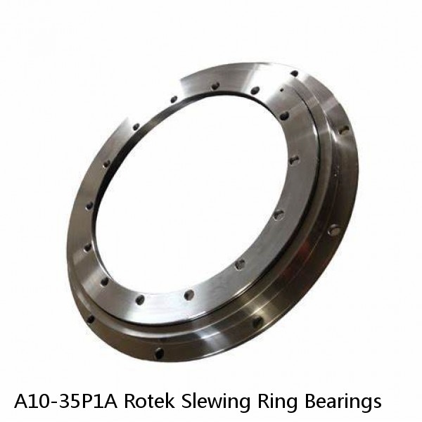 A10-35P1A Rotek Slewing Ring Bearings #1 image