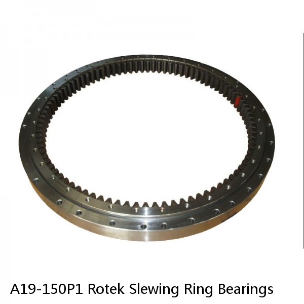 A19-150P1 Rotek Slewing Ring Bearings #1 image