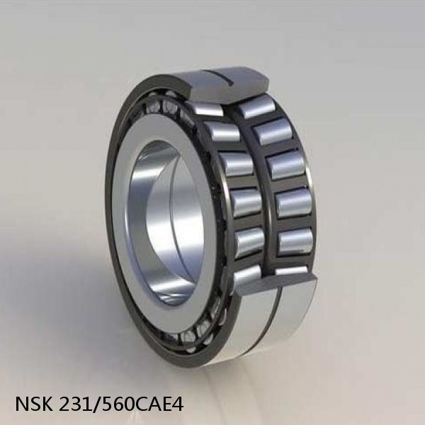 231/560CAE4 NSK Spherical Roller Bearing #1 image
