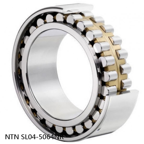 SL04-5064NR NTN Cylindrical Roller Bearing #1 image