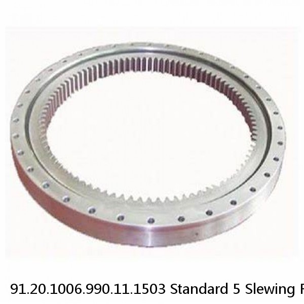 91.20.1006.990.11.1503 Standard 5 Slewing Ring Bearings #1 image